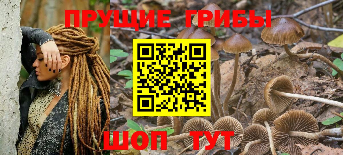 Псилоцибиновые грибы мухоморы  Вход с VPN  Курчатов 